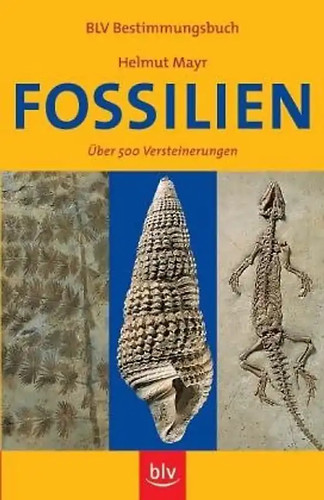 Fossilien über 500 - fossilien.,
