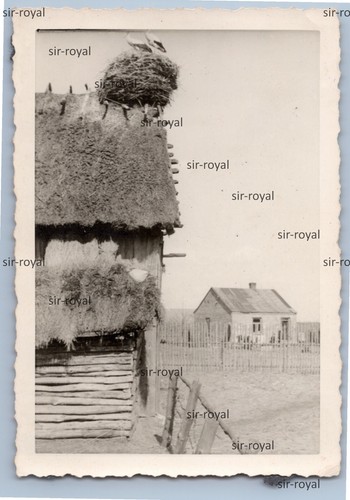 Storchennest auf einem haus - haus, in