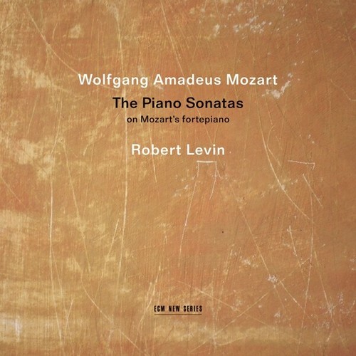 The piano sonatas - the,