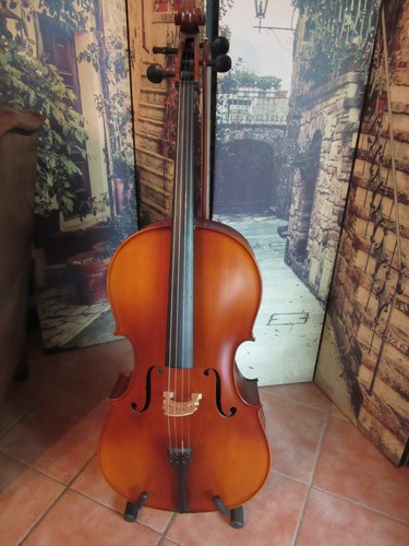 Nagelneues cello gewapure - cello,