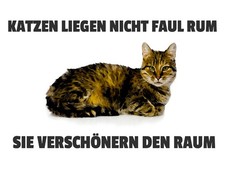 Holzschild 30x40 cm Katzen