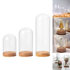 Glas Cloche Glocke Glas