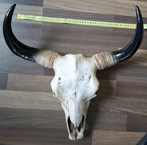Deko schädel 45cm - deko,