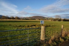 Foto A3 Rotmilan Bogenschießen Boden Carnedd unter Nutzung flachen Raumes bei C c2013