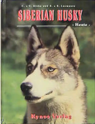 Siberian husky heute - siberian,