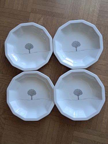 Rosenthal polygon winterreise - rosenthal,