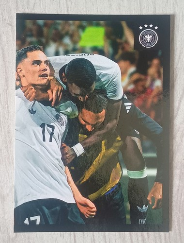 Dfb team sticker 60 - sticker,