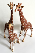 Schleich Wildlife -