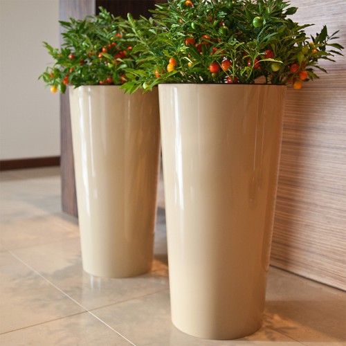 Xxl pflanzkübel blumenkübel - xxl,