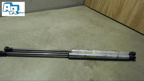 Gasdruckfeder dämpfer satz - gasdruckfeder/-dämpfer,