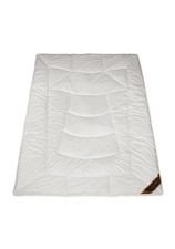 Garanta Personal Line Dream