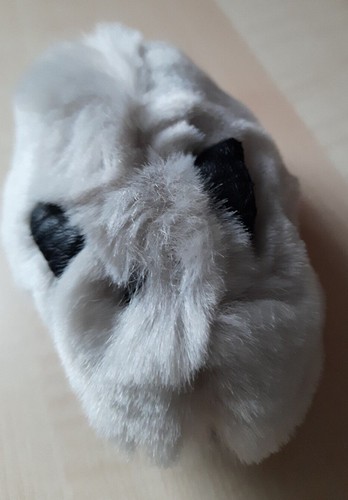 Kleines