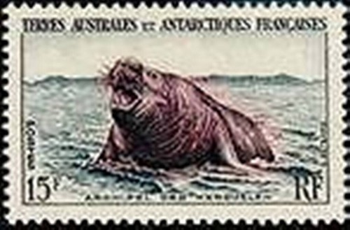 Französische australische - französische,