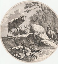 JOHANN ELIAS RIDINGER -