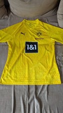 BVB Borussia Dortmund