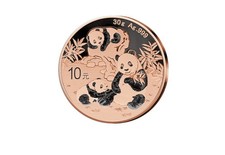 Panda 30 g Silber 2025 China