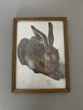 Der Feldhase von Albrecht