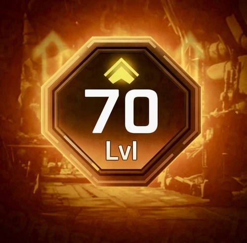 Borderlands instant level - 4,
