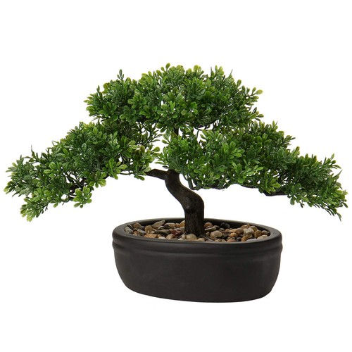 Kunstpflanze bonsai podocarpus - kunstpflanze,