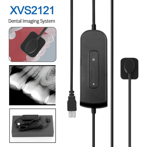 Dental digital ray sensor - x-ray,