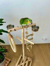 Papageien Freisitz 1.20m