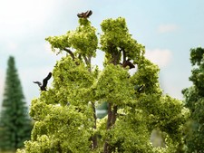 Noch baum mit - noch,