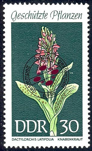 1461 heimische pflanzen - heimische,