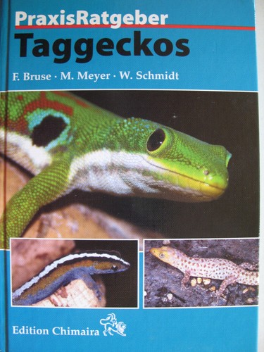 Taggeckos praxis ratgeber - praxis,