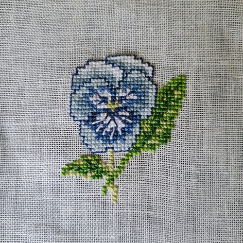 Stiefmütterchen blau