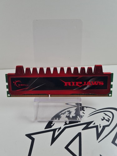 Skill ram arbeitsspeicher - g-skill,