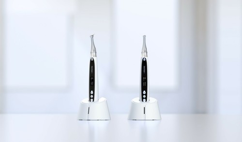 Aktion woodpecker endo - aktion!woodpecker,