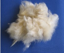 Kapok als Füllmaterial /