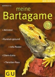 Meine bartagame info - meine, info-poster