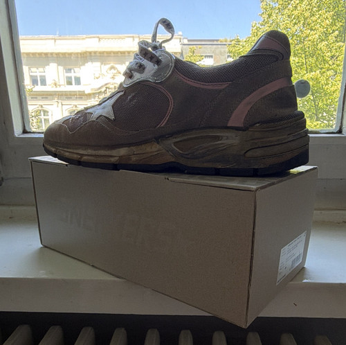 Golden goose dad - goose, dad-star