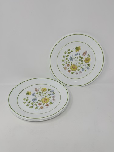 Corning corelle spring - 4,