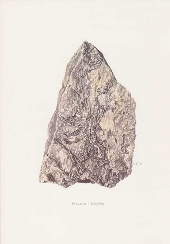 Sylvanit schrifterz - sylvanit,