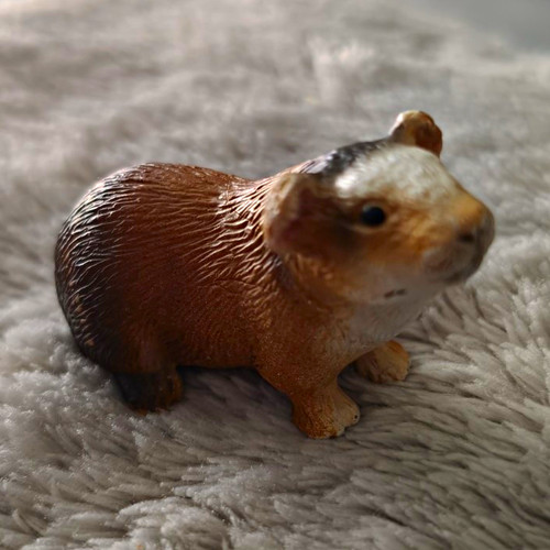 Meerschweinchen figurine - meerschweinchen,