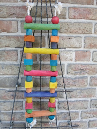 Papageienspielzeug
