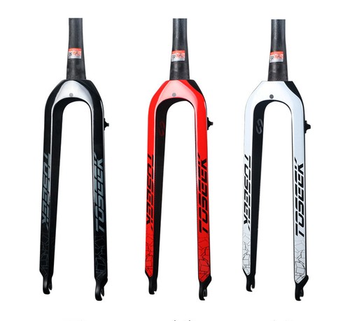 Carbon mountain bike - carbon,