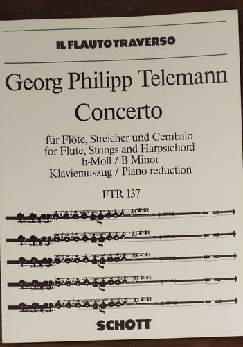 Telemann concerto h moll - g.p.,