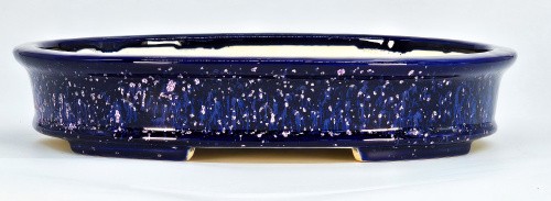 Bonsaischale koyo tokoname - bonsaischale,