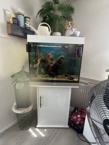 Komplett aquarium - komplett,