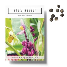 Kenia Bananen Samen (Musa