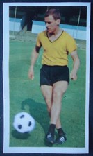 Sicker Sammelbild 41 Gerhard