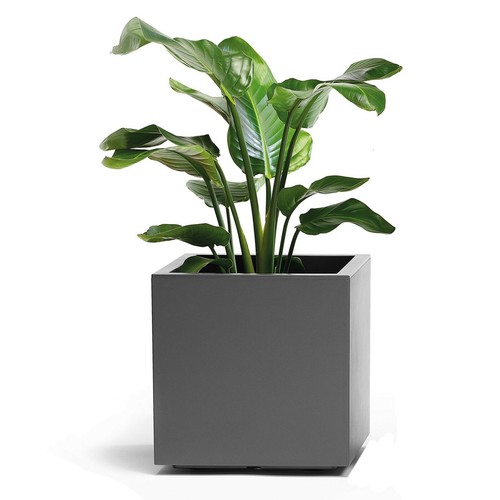 Blumenkasten cm in - x, 40
