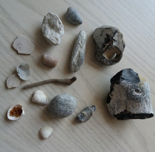 Strandfunde Ostseesteine