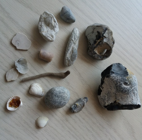 Strandfunde ostseesteine - strandfunde,