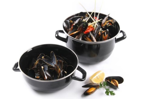 Muscheltopf emailliert mit - muscheltopf,,