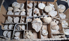 kleine Sammlung Steinharder