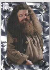 Panini Harry Potter Evolution